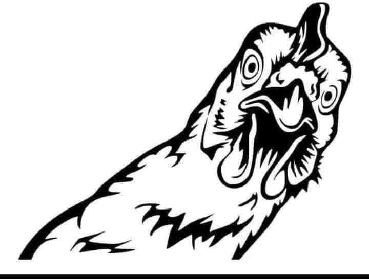 Chicken 🐓 vinyl car sticker